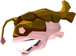 Rocktail detail