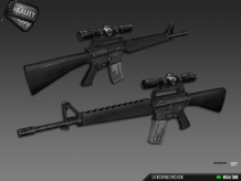 M16A1 DMR