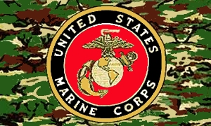 File:Us-marine-corps-cammo-flag.jpg
