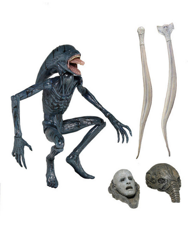 File:Deacon NECA.png