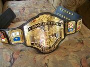 NWA Mid-Atlantic Champion (2)