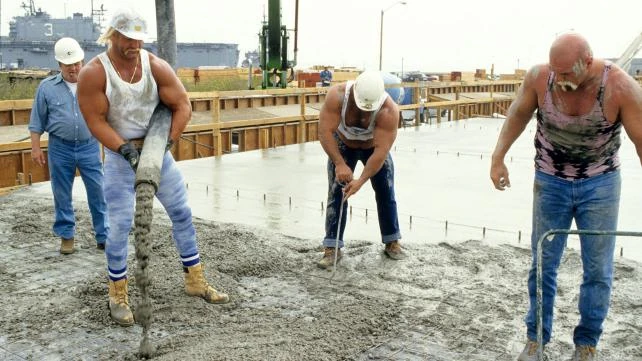 Image - Piledriver - The Wrestling Album 2.1.jpg | Pro Wrestling