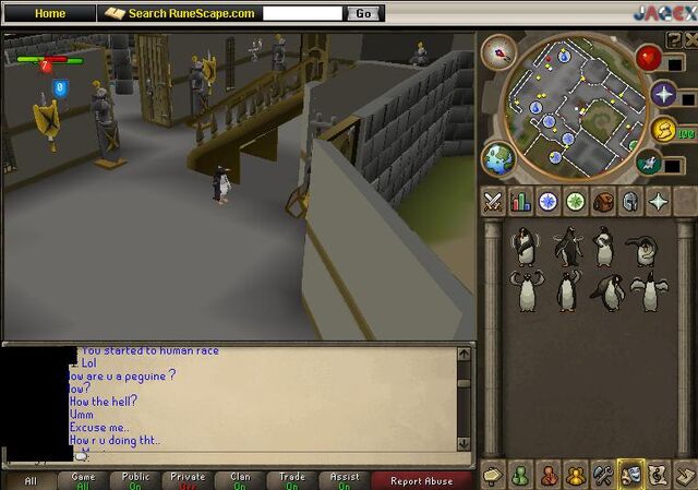 File:Penguin in varrok.jpg