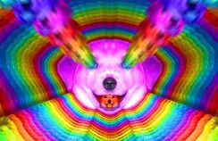 Acid!!