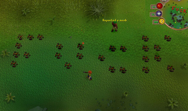File:Runescape lol2.jpg