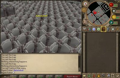 So many traps
