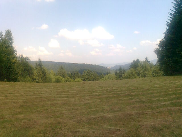 Plik:Leskowiec7.jpg