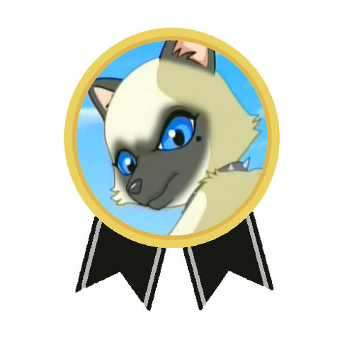 Plik:Medal Imy.png