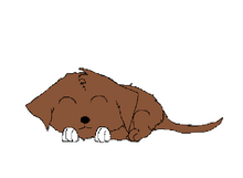 Lacky
