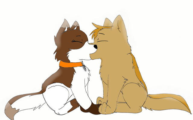 Plik:Sketch-1499281423200.png