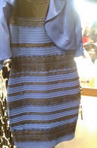File:Black-and-Blue-or-White-and-Gold.jpeg