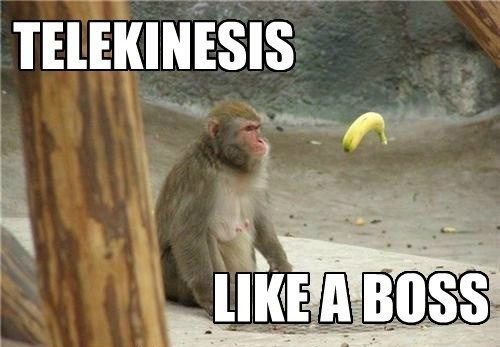 File:Telekinesis monkey.jpg