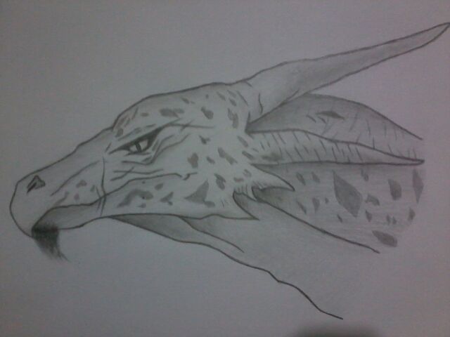 File:Slender Dragon.jpg