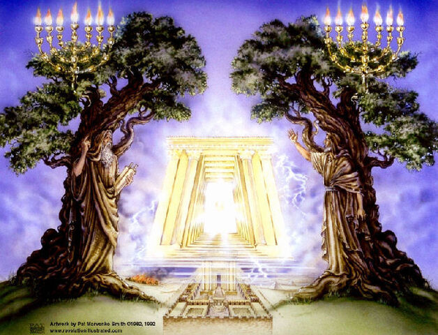 File:Revelation2WitnessesOliveTree 703.jpg