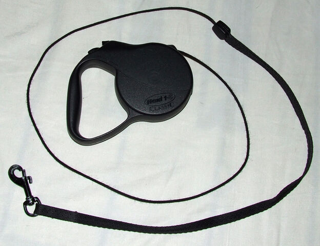 Plik:Smycz Flexi 1.jpg