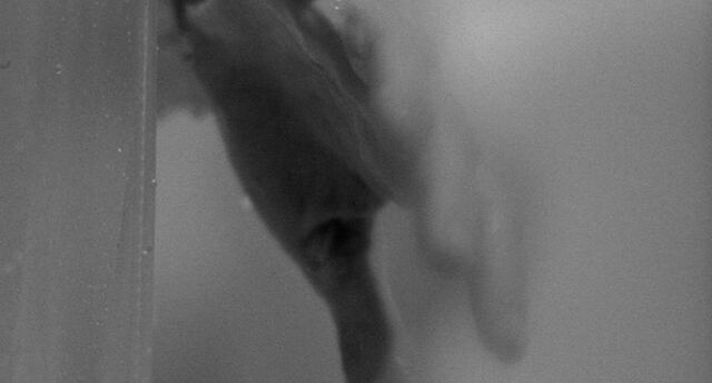 File:Shower 33.jpg