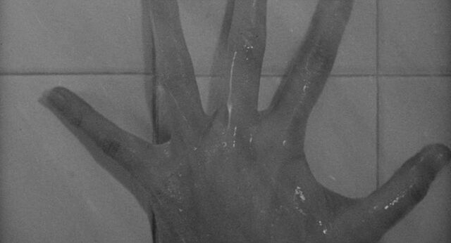 File:Shower 31.jpg