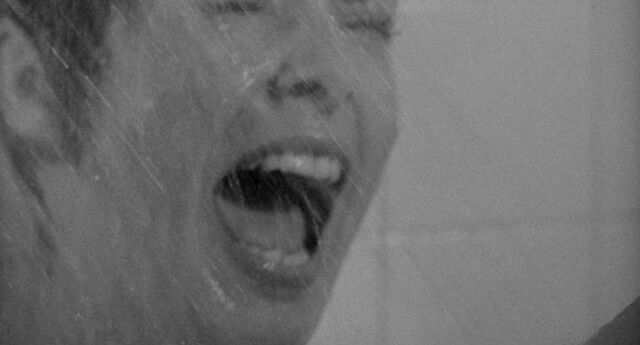 File:Shower 18.jpg