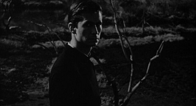 File:Psycho 12.jpg