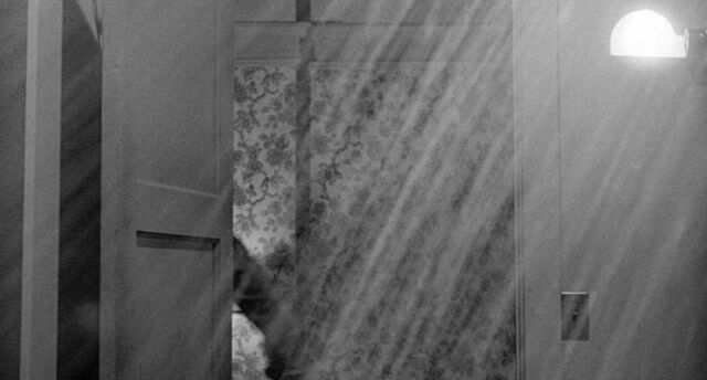 File:Shower 30.jpg