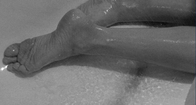 File:Shower 38.jpg
