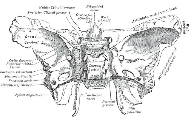 File:Gray145.png
