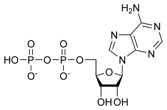 File:ADP chemical structure.png