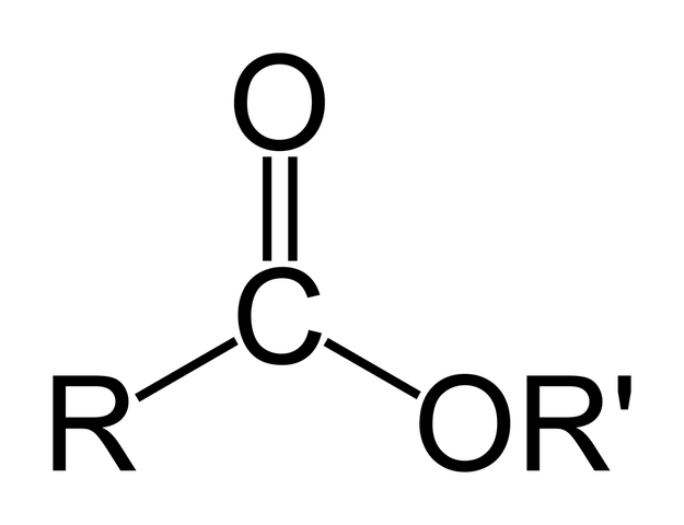 File:Ester.png