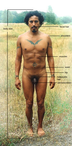 File:Man labeled.jpg