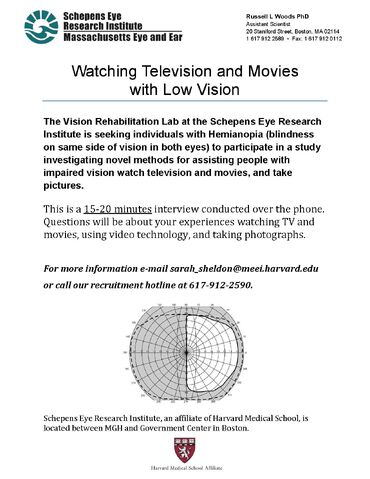 File:TVwLV ParticipantFlyer TVsurvey Mar2014.jpg