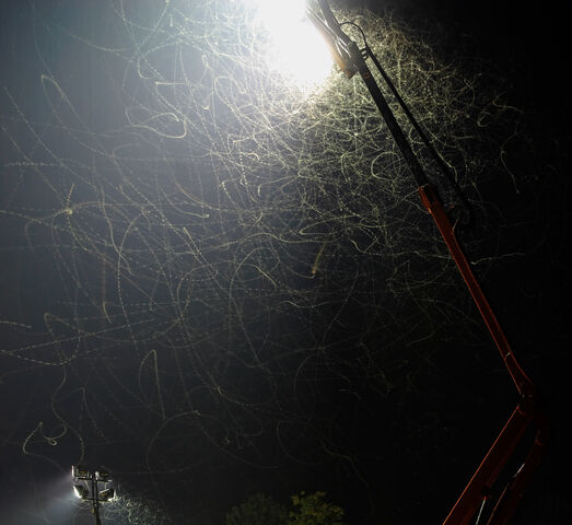 File:Moths attracted by floodlight02.jpg