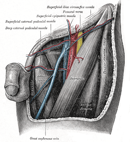 File:Gray549.png