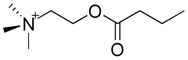 File:Butyrylcholine.png