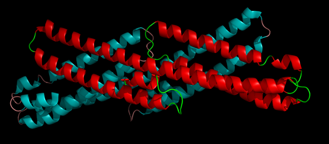 File:1rw6 e2 app.png