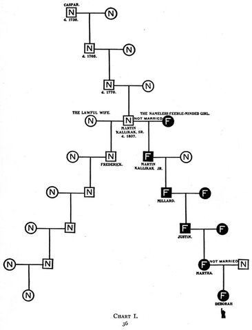 File:Kallikaks chart1.jpg