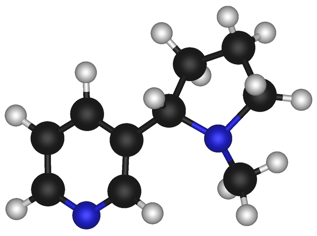 File:Nicotine 3D Model.png
