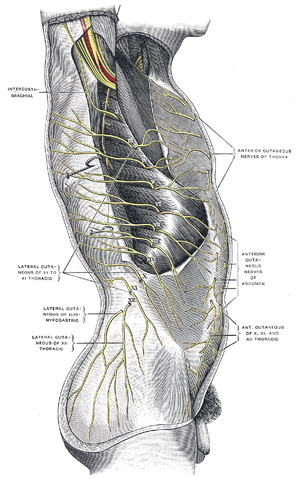 File:Gray820.png