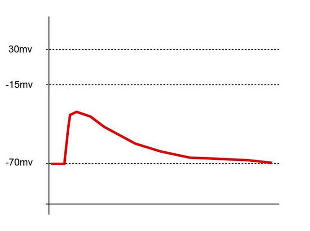 File:Synapse diag6.png