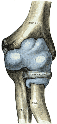 File:Gray331.png