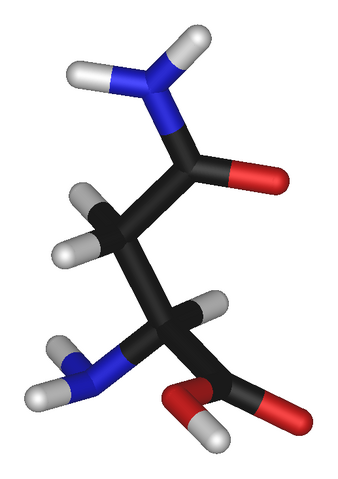 File:L-asparagine-3D-sticks.png