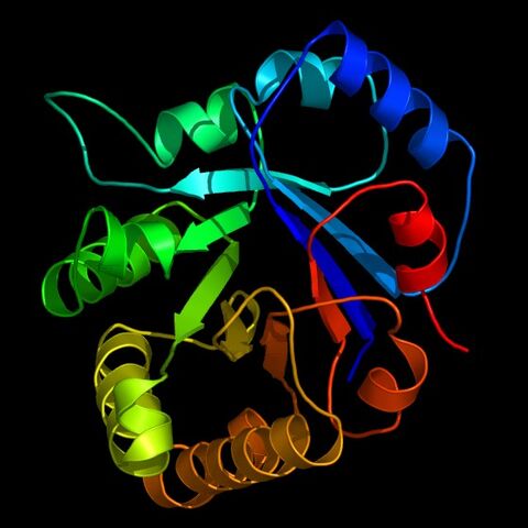 File:Triosephosphate isomerase.jpg