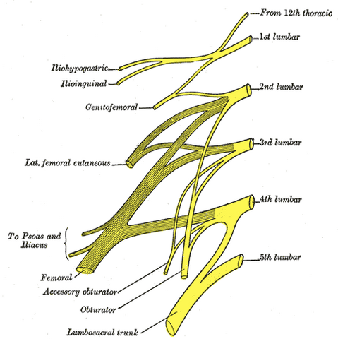File:Gray822.png