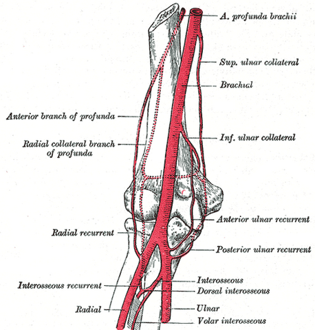 File:Gray526.png