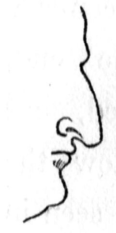 File:Class IV nose.jpg