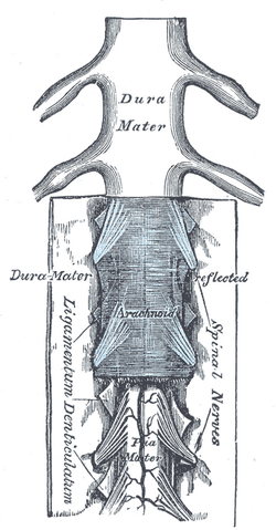 File:Gray767.png