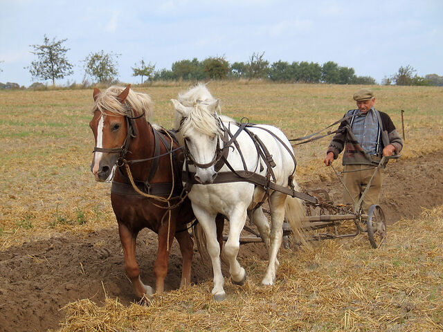 File:Farmer plowing.jpg