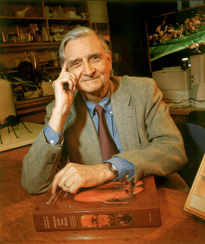 File:Edward O Wilson.jpg