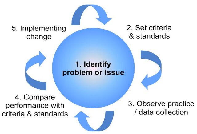 File:Clinical audit cycle.jpg