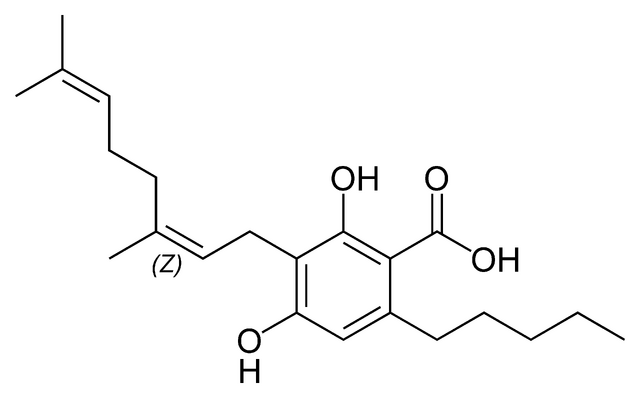 File:Cannabinerolic acid A.png
