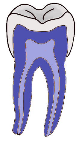 File:DentistryLogo.png